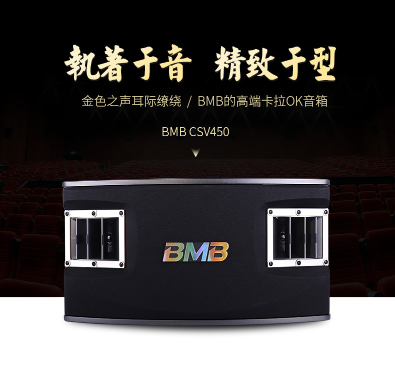 BMB CSV-450卡拉OK音箱详情1.jpg